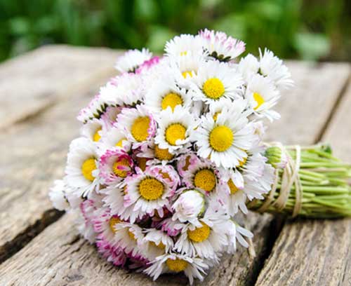 Blumen zum Namenstag