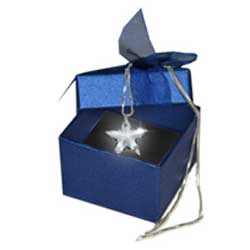 Swarovski Sternkette