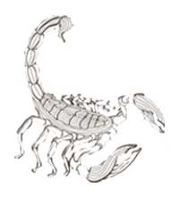 Enderal löwe skorpion und Skorpion